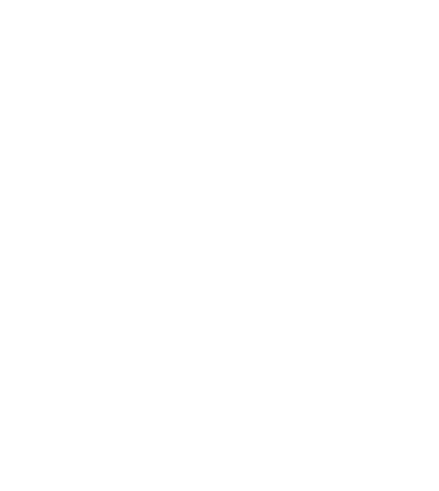 Chevron logo