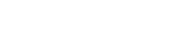 NordVPN logo